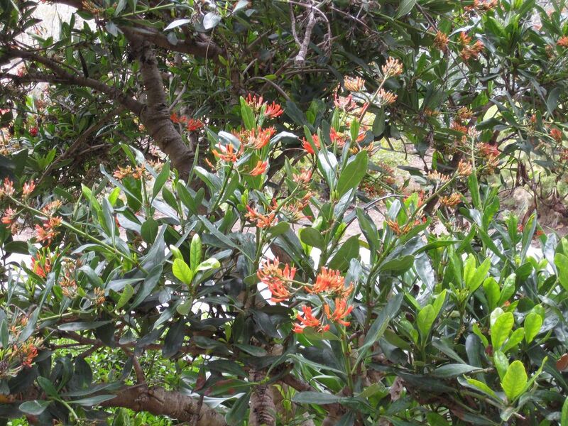 File:1280px-IMG 4925 hunt0904.jpg