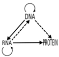 Thumbnail for version as of 10:03, 29 April 2025