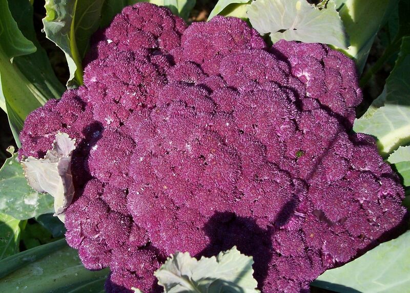 File:1280px-Graffiti 1.jpg