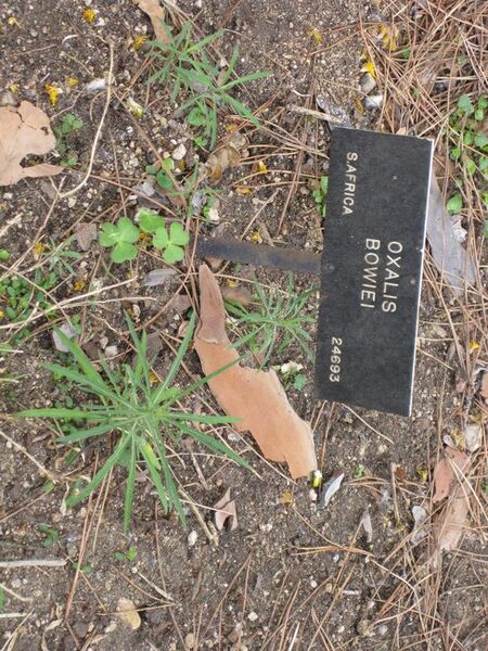 File:576px-IMG 4939 hunt0904.jpg