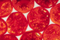 Tomato slices