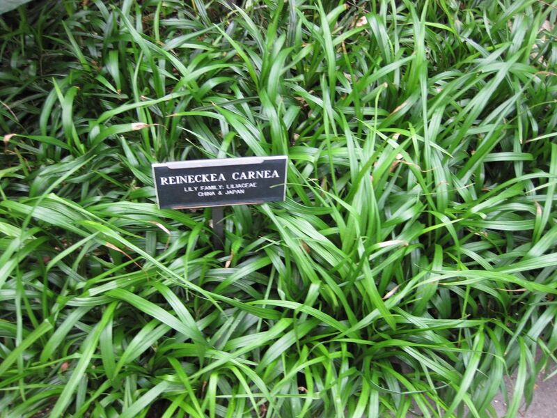 File:1280px-IMG 1218 bbg09.jpg