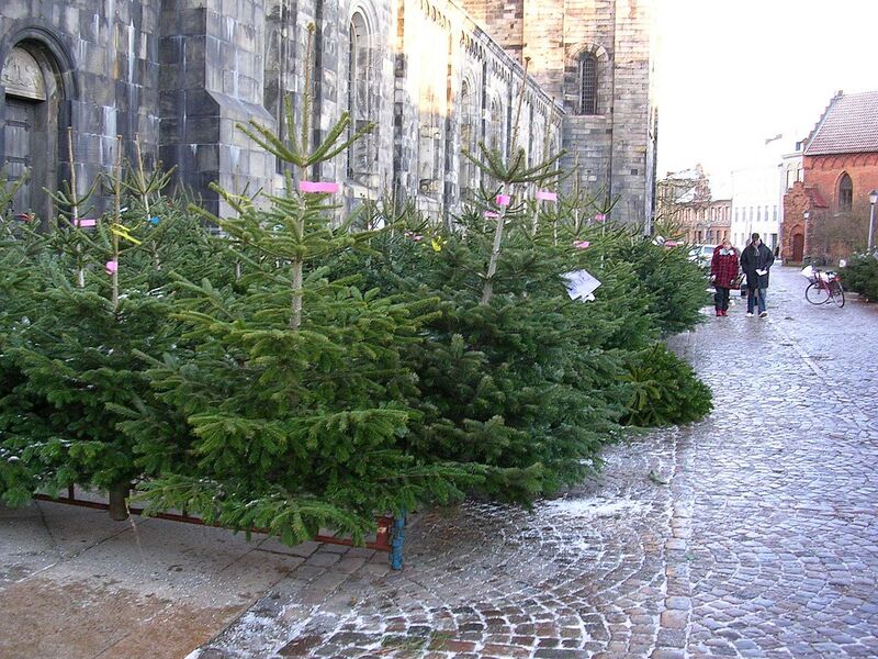 File:1280px-Julgransförsäljning utanför Lunds domkyrka.jpg