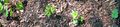 Thumbnail for version as of 10:22, 29 August 2007