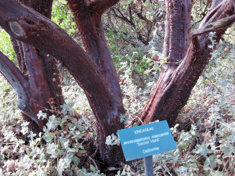 File:1280px-IMG 2720 ucla09.jpg