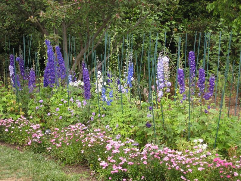 File:1280px-IMG 6850 hunt09jun.jpg