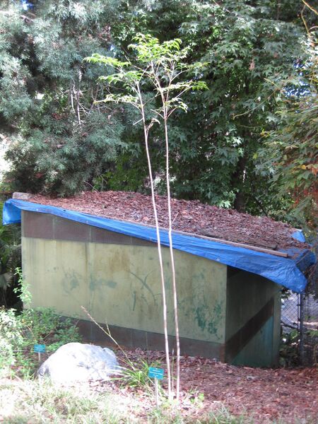 File:6b5e3w0pv2ikoagf4ly9g2g8rknkdmg.jpg