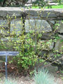 Thumbnail for version as of 22:55, 23 January 2008