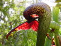 Thumbnail for version as of 10:17, 5 May 2007