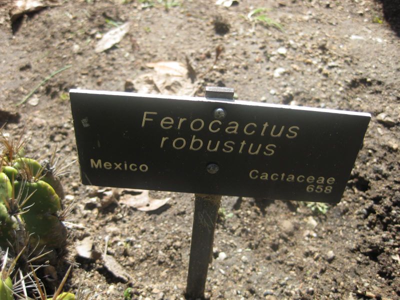 File:IMG 2201 hunt0903.jpg