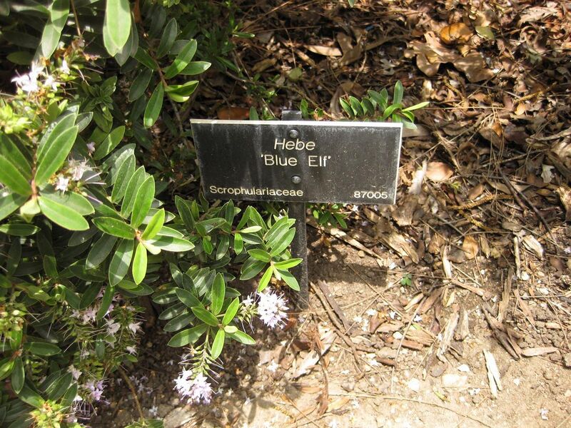 File:1280px-IMG 7365 hunt09jun.jpg