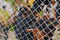 Thumbnail for version as of 14:49, 7 May 2007