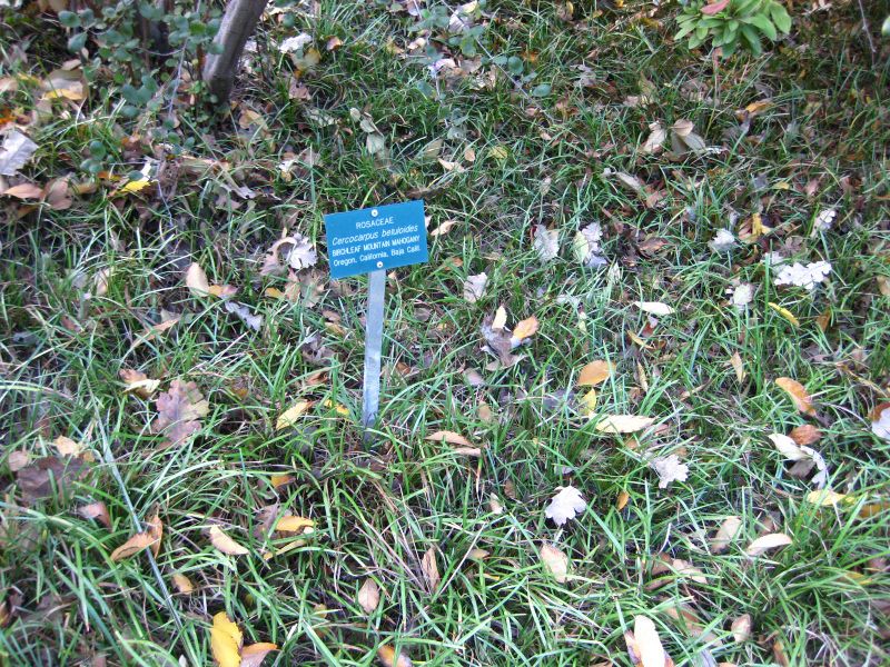 File:IMG 2475 ucla09.jpg