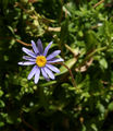 Thumbnail for version as of 18:08, 24 June 2009