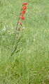 Thumbnail for version as of 23:33, 4 June 2007