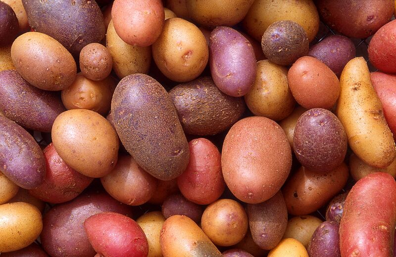 File:1024px-Patates.jpg