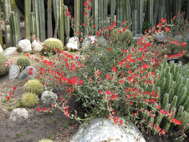 File:1280px-IMG 4409 hunt0904.jpg