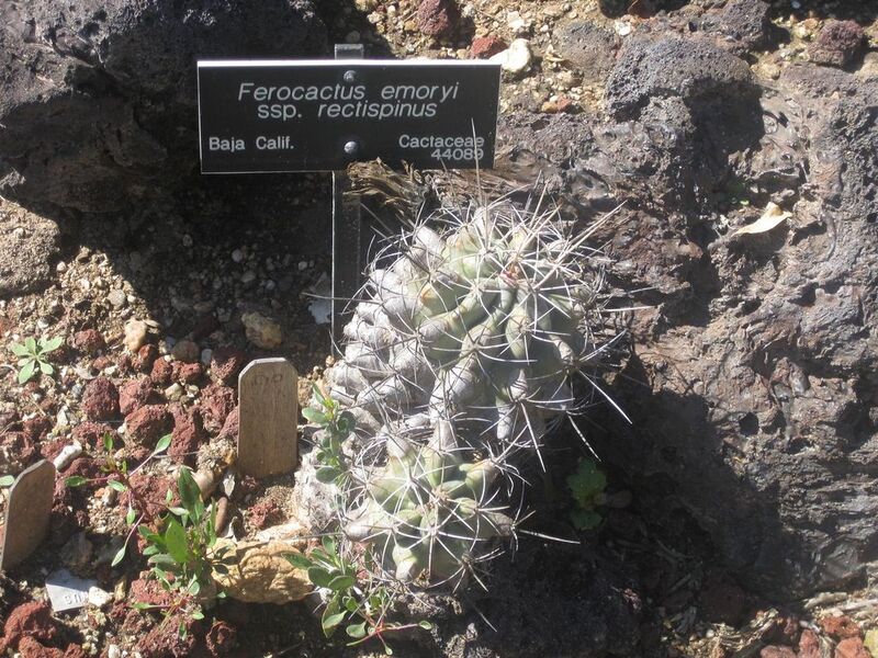 File:1024px-IMG 2430 hunt0903.jpg