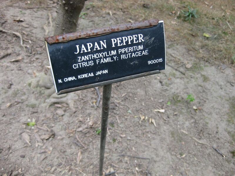 File:1280px-IMG 1313 bbg09.jpg