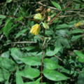 Thumbnail for version as of 10:29, 29 April 2025