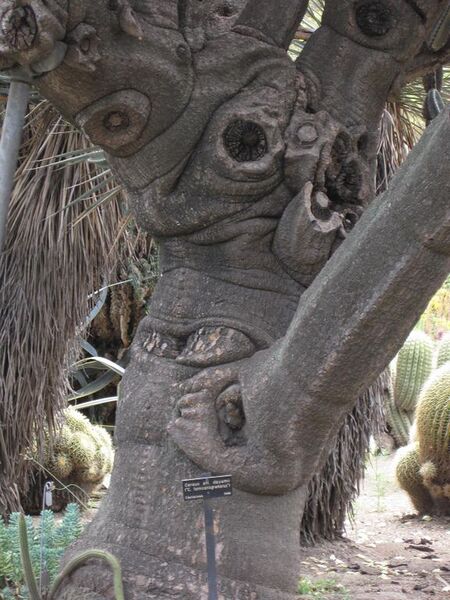 File:576px-IMG 7423 hunt09jun.jpg