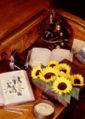Thumbnail for version as of 17:37, 21 June 2007