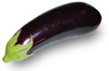 The flowers of the Thai eggplant