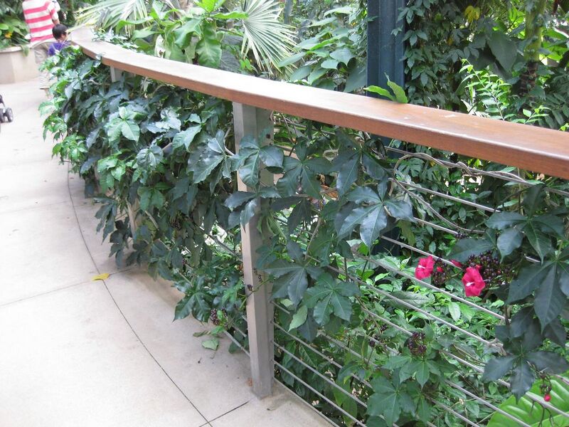 File:1280px-IMG 1779 hunt09oct.jpg