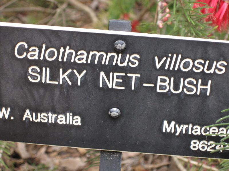 File:1280px-IMG 4562 hunt0904.jpg