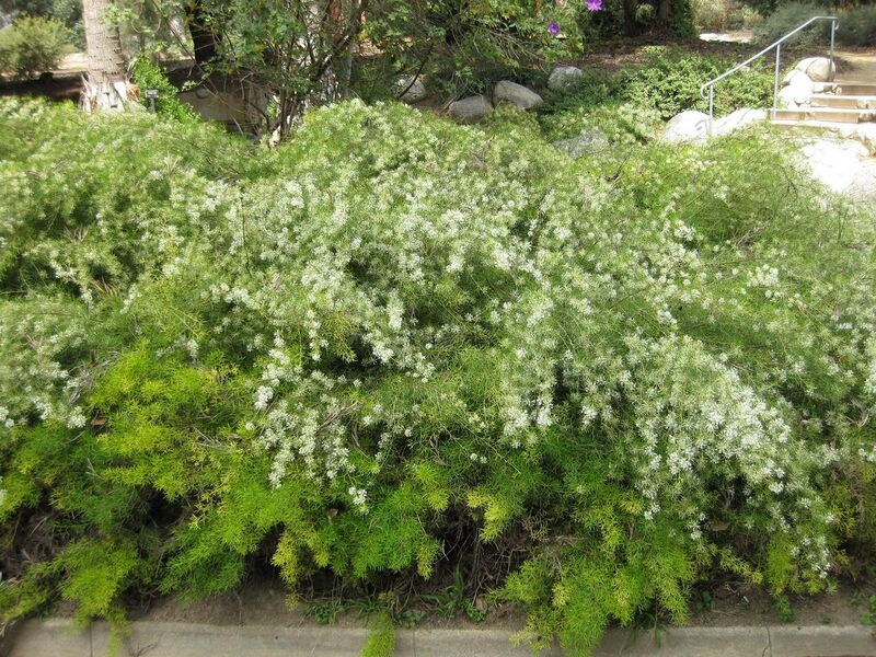 File:1280px-IMG 4577 hunt0904.jpg