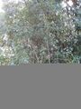 Thumbnail for version as of 10:34, 29 April 2025