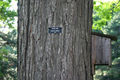 Thumbnail for version as of 05:58, 27 April 2007