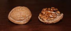 Whole and shelled J. regia