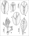 Thumbnail for version as of 06:21, 5 November 2007