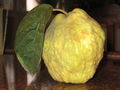 Thumbnail for version as of 16:47, 13 September 2007