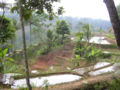 Thumbnail for version as of 07:26, 14 July 2007