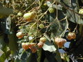 Thumbnail for version as of 13:20, 10 September 2007