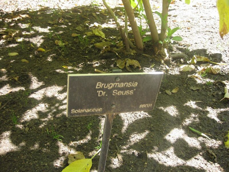 File:1280px-IMG 1976 hunt0903.jpg