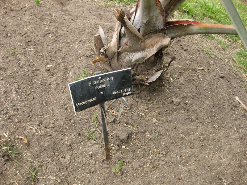 File:1280px-IMG 3913 hunt0904.jpg