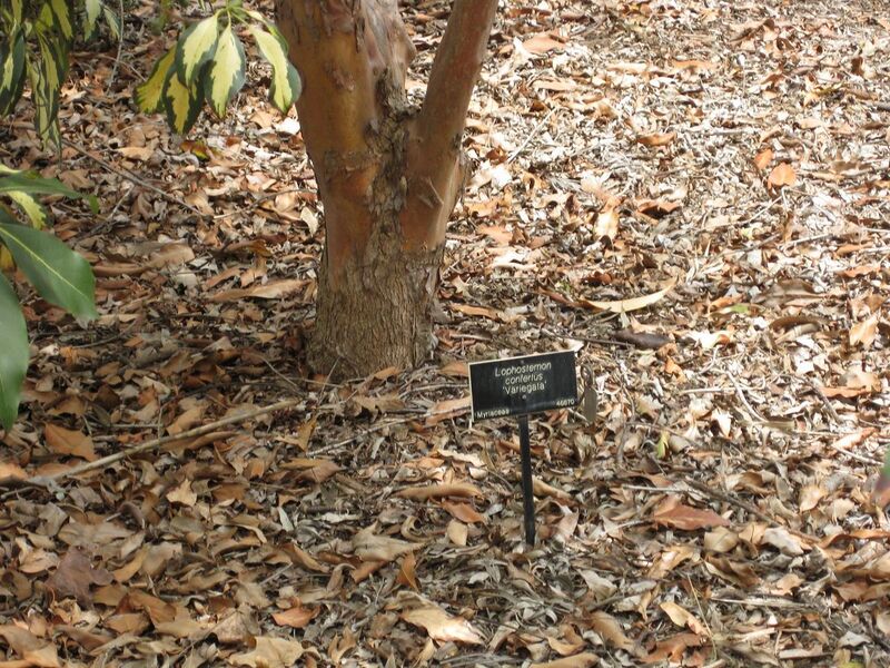 File:1280px-IMG 4694 hunt0904.jpg