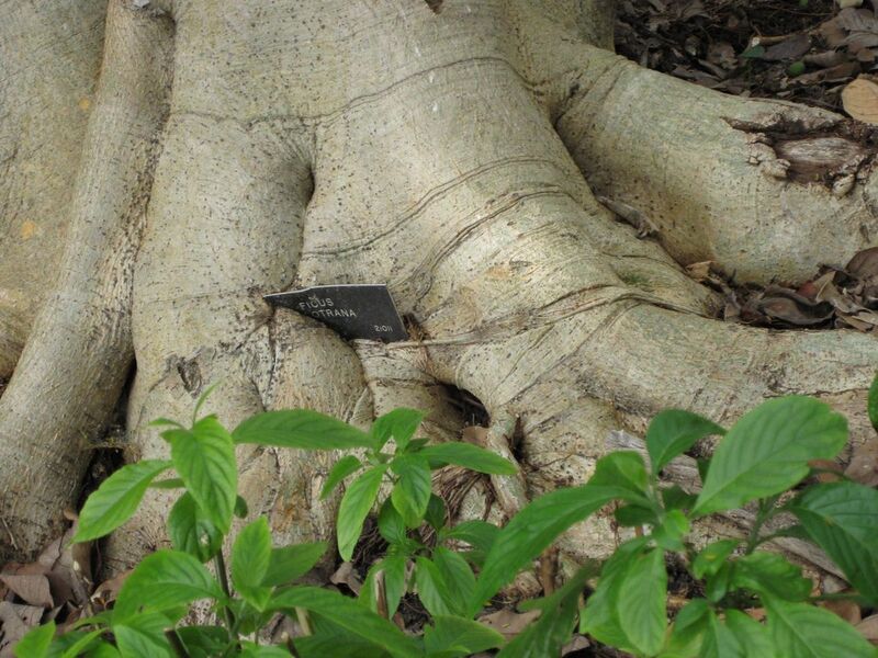 File:1280px-IMG 5022 hunt0904.jpg