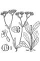 Thumbnail for version as of 05:13, 2 July 2007