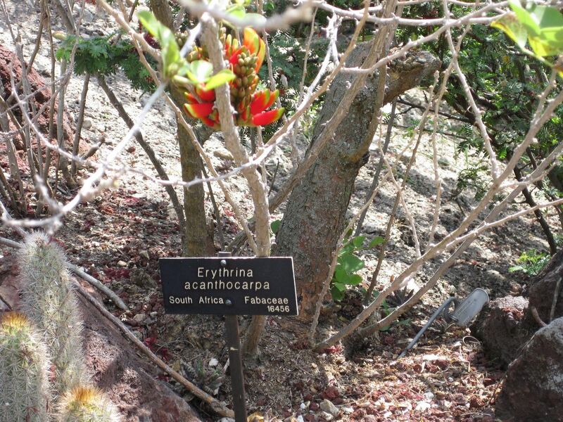 File:1280px-IMG 4255 hunt0904.jpg