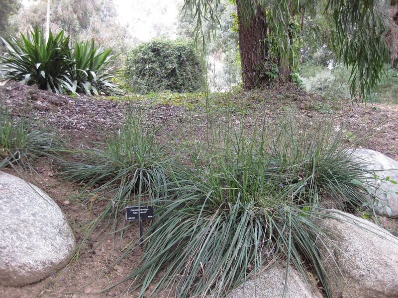 File:1280px-IMG 4739 hunt0904.jpg