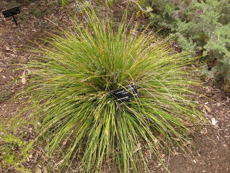 File:1280px-IMG 7190 hunt09jun.jpg