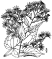 Thumbnail for version as of 10:01, 29 April 2025