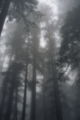 Thumbnail for version as of 14:53, 8 May 2007