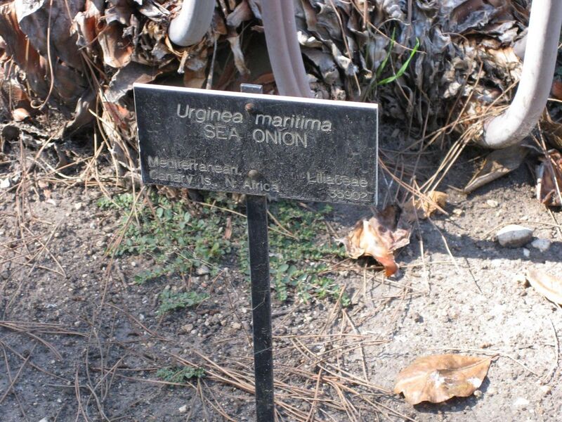 File:1280px-IMG 1885 hunt09oct.jpg