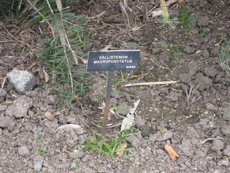 File:1280px-IMG 4656 hunt0904.jpg