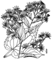 Thumbnail for version as of 10:01, 29 April 2025
